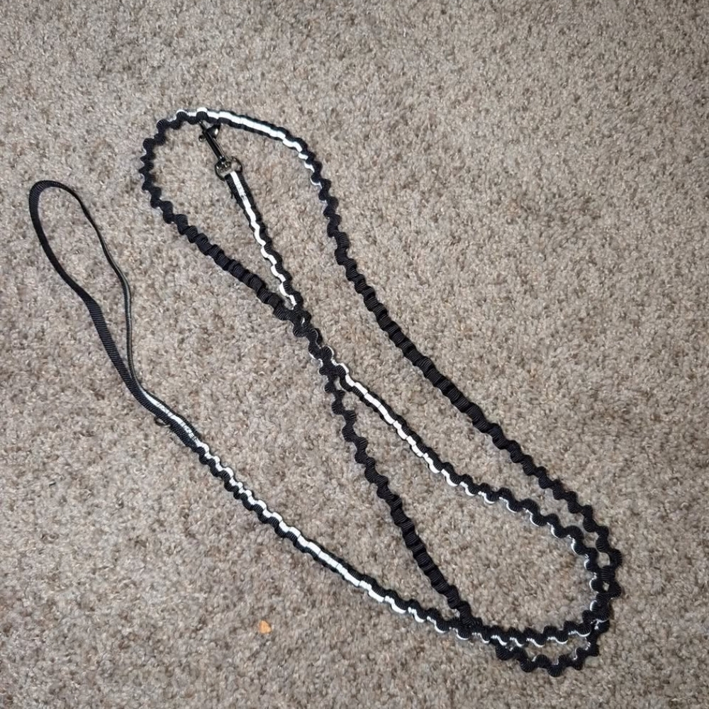 Reflective Dog Leash